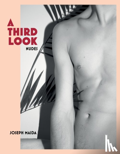 Maida, Joseph - A Third Look