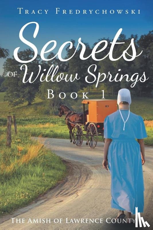 Fredrychowski, Tracy - Secrets of Willow Springs - Book 1