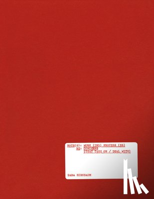 Birnbaum, Dara - Dara Birnbaum: Note(s): Work(ing) Process(es) RE: Concerns (That Take on / Deal With)