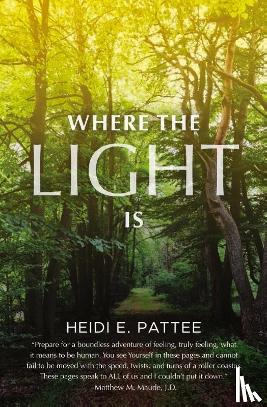 Pattee, Heidi E - Where The Light Is