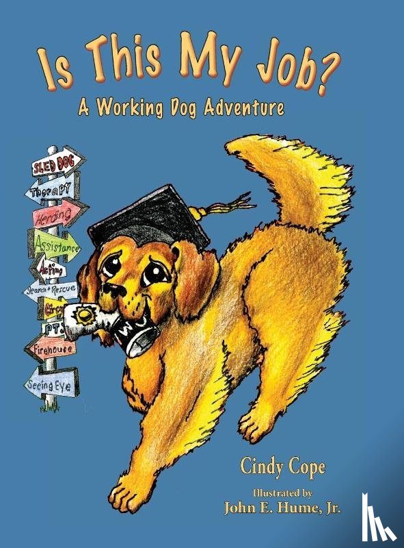 Cope, Cindy - Is This My Job?