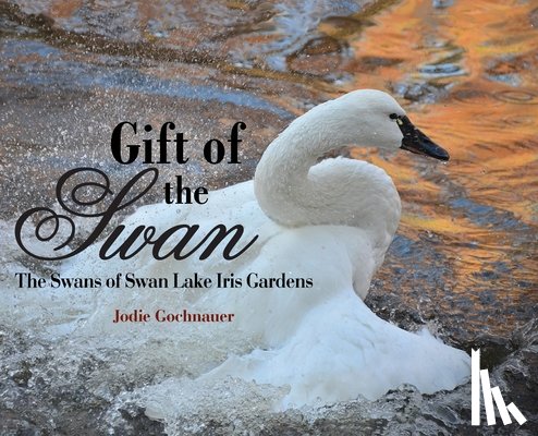 Gochnauer, Jodie - Gift of the Swan