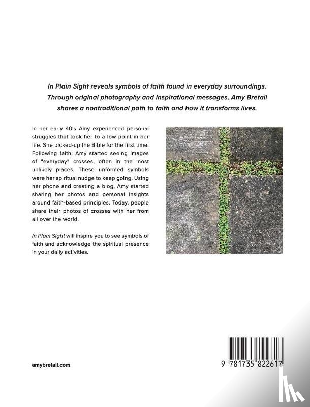 Bretall, Amy - In Plain Sight