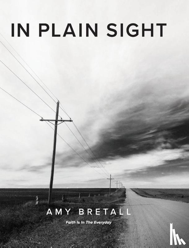 Bretall, Amy - In Plain Sight