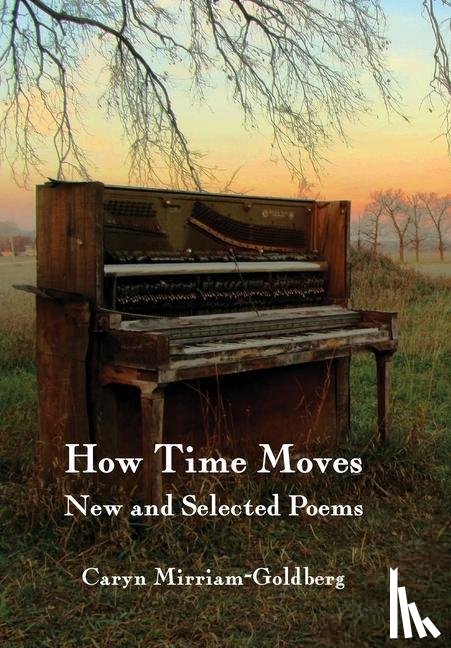 Mirriam-Goldberg, Caryn - How Time Moves