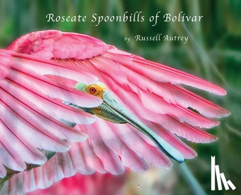 Autrey, Russell D. - Roseate Spoonbills of Bolivar