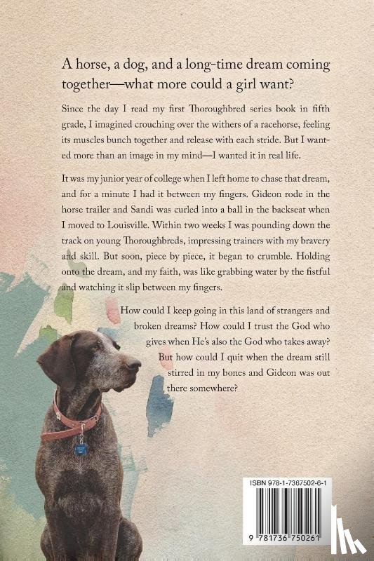 Hickner, Sarah - Finding Gideon