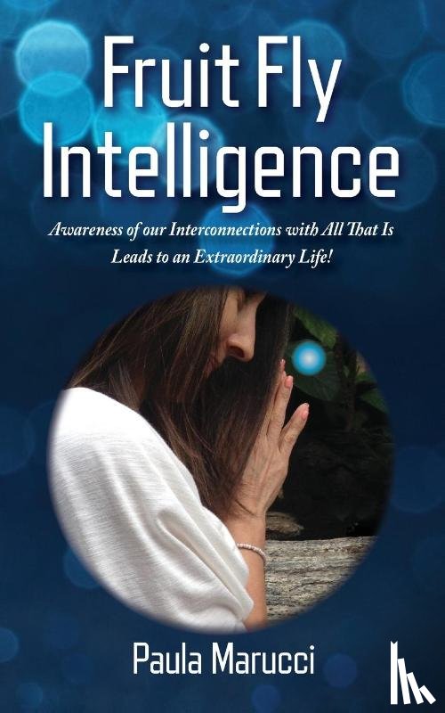 Marucci, Paula - Fruit Fly Intelligence