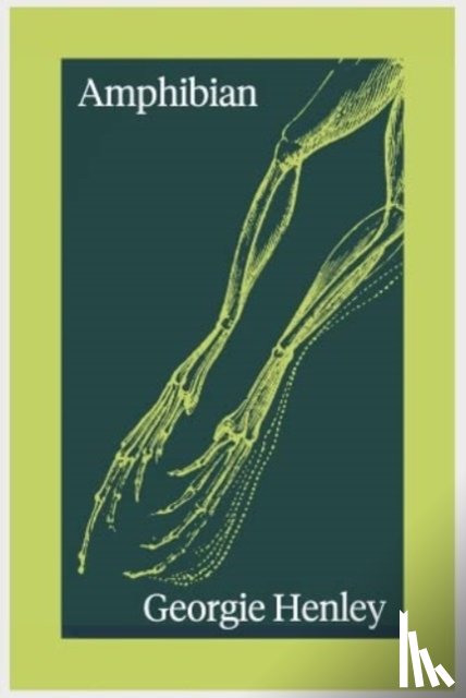 Henley, Georgie - Amphibian