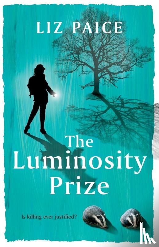 Paice, Liz - The Luminosity Prize