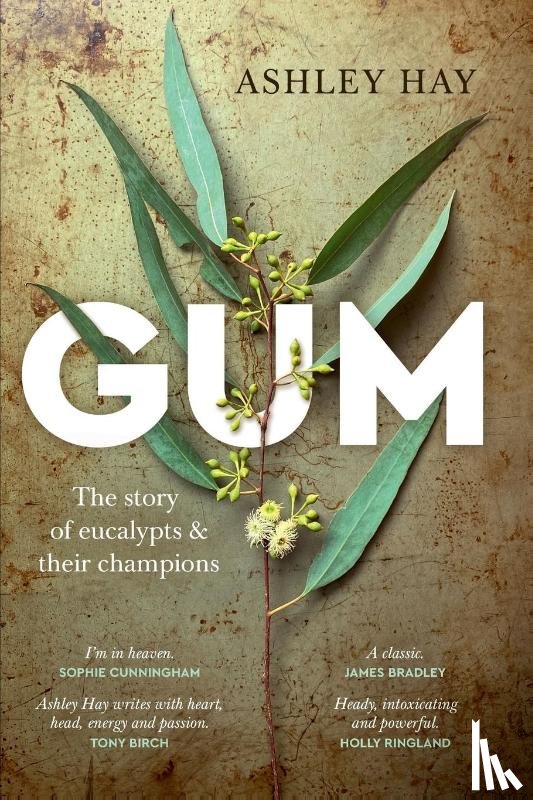 Hay, Ashley - Gum