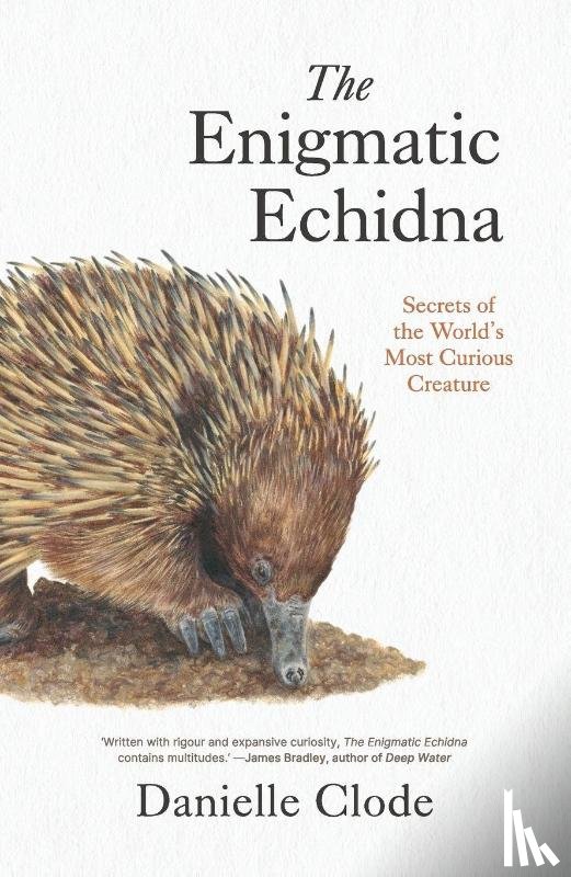 Clode, Danielle - The Enigmatic Echidna