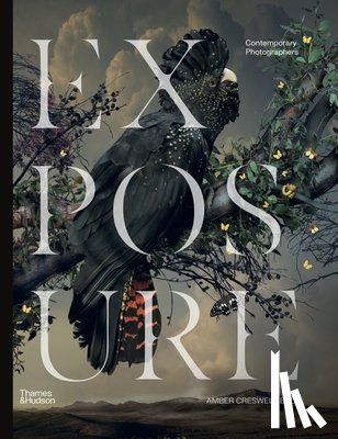 Creswell Bell, Amber - Exposure: Contemporary Photographers