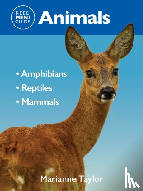 Taylor, Mariane - Reed Mini Guide: Animals
