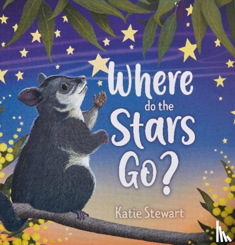Stewart, Katie - Where do the stars go?