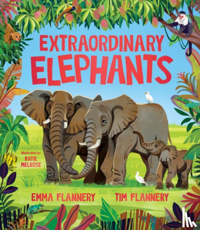 Flannery, Tim, Flannery, Emma - Extraordinary Elephants