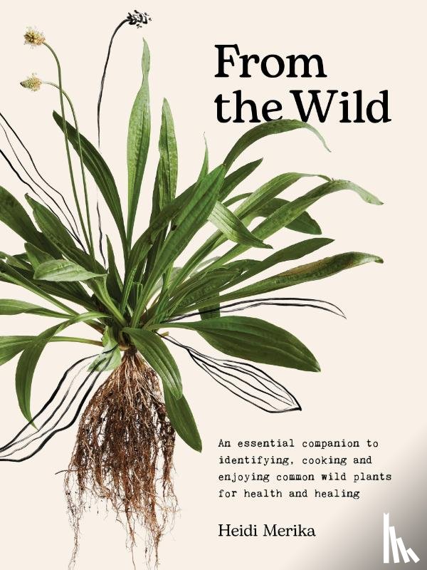 Merika, Heidi - From the Wild