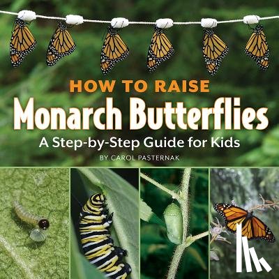 Pasternak, Carol - HT RAISE MONARCH BUTTERFLIES R