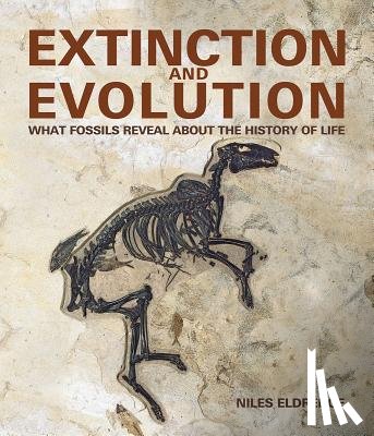 Eldredge, Niles - Extinction and Evolution