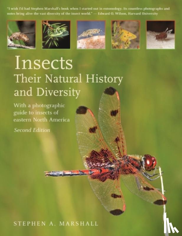 Marshall, Stephen A. - Insects: Their Natural History and Diversity