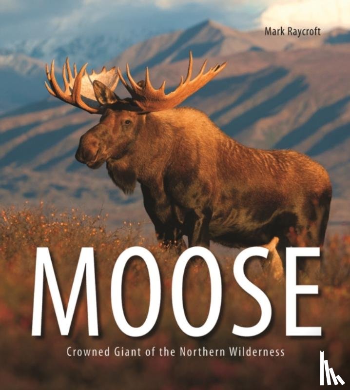 Raycroft, Mark - Moose: Crowned Giant of the Northern Wilderness