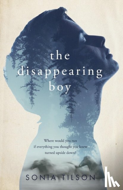 Tilson, Sonia - The Disappearing Boy