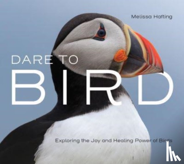 Hafting, Melissa - Dare to Bird
