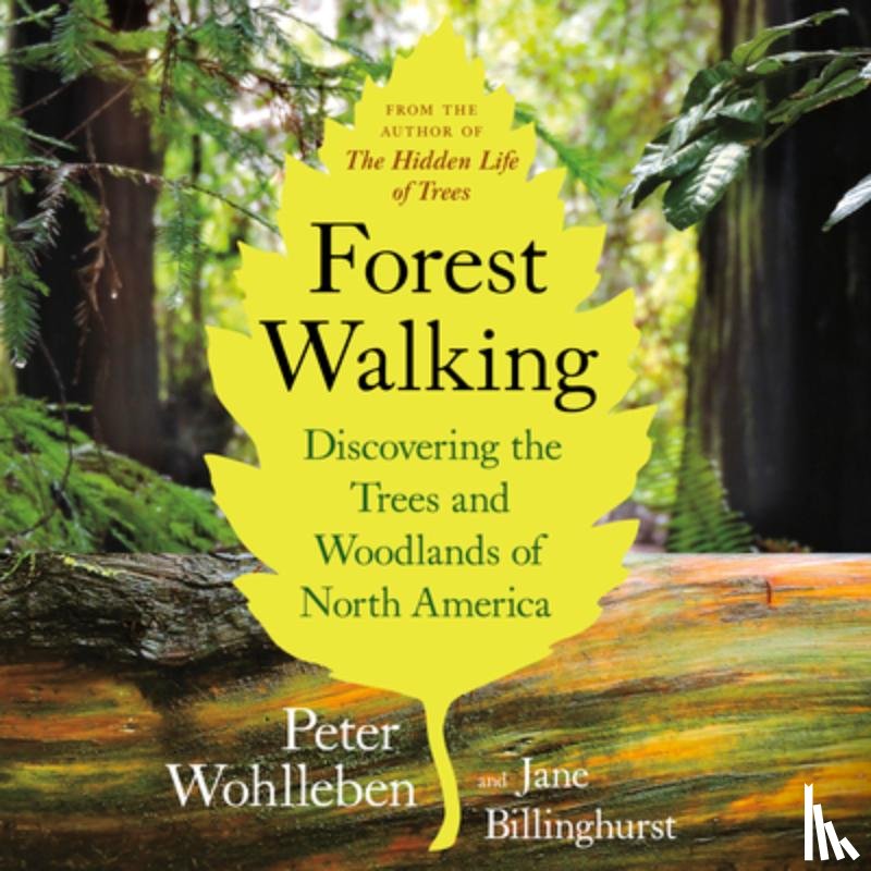 Wohlleben, Peter - FOREST WALKING