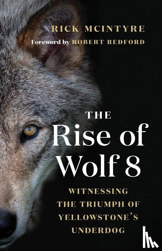 McIntyre, Rick - The Rise of Wolf 8