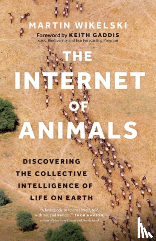 Wikelski, Martin - The Internet of Animals
