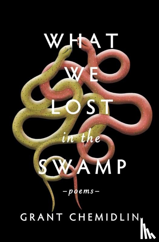 Chemidlin, Grant - What We Lost in the Swamp