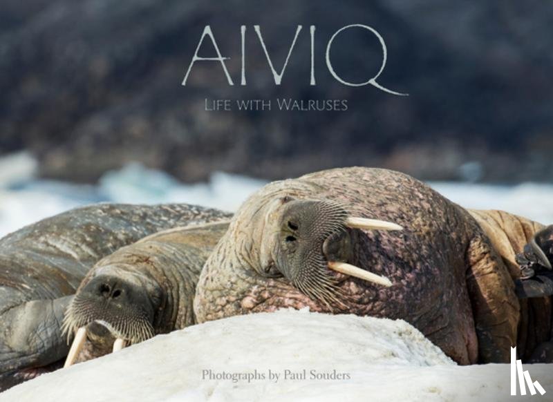 Souders, Paul - Aiviq: Life With Walruses