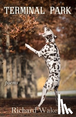 Wakefield, Richard - Terminal Park