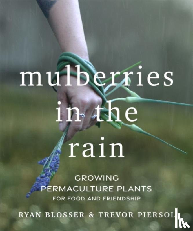Blosser, Ryan, Piersol, Trevor - Mulberries in the Rain