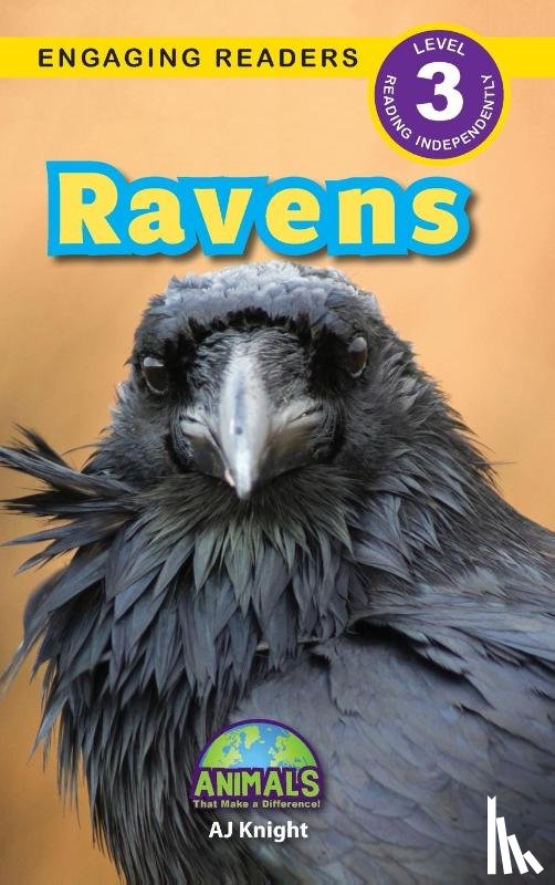 Knight, Aj - Ravens