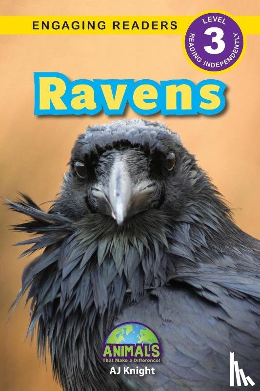 Knight, Aj - Ravens