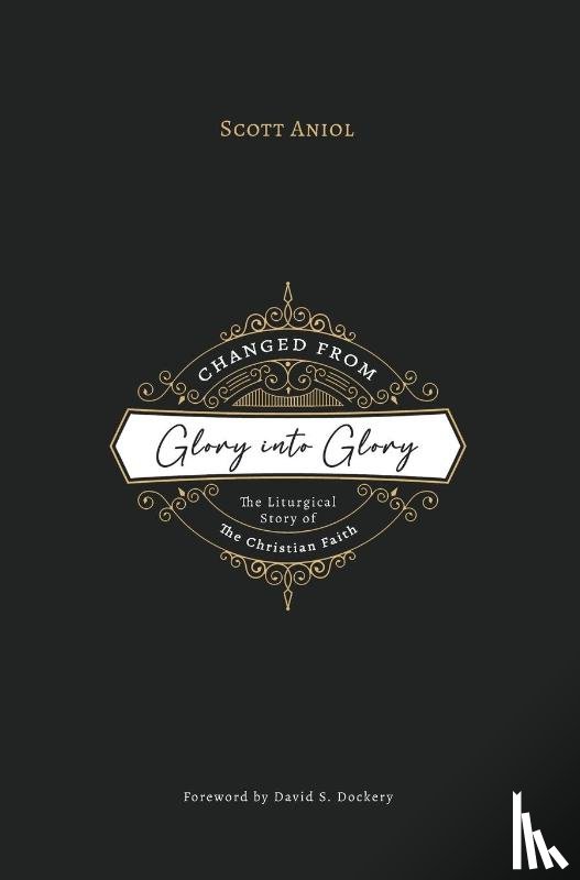Aniol, Scott - Changed from Glory into Glory
