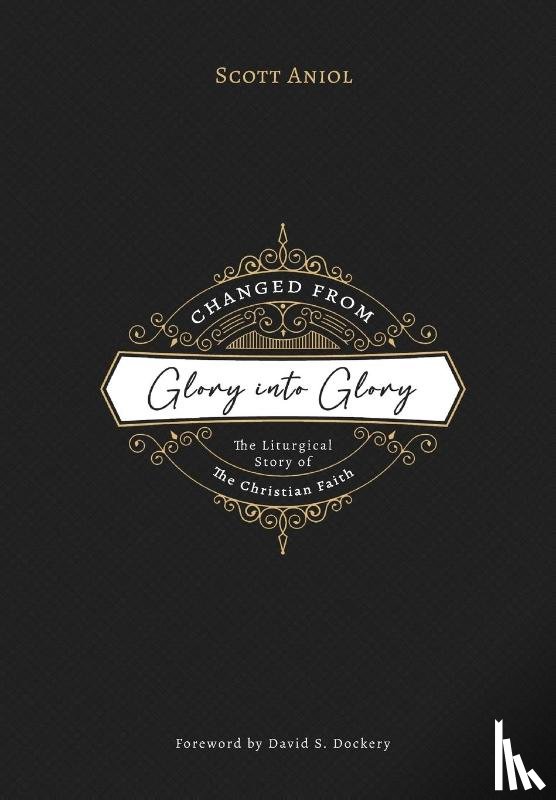 Aniol, Scott - Changed from Glory into Glory