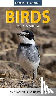 Sinclair, Ian - Pocket Guide to Birds of Namibia