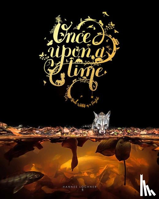 Lochner, Hannes - Once Upon a Time