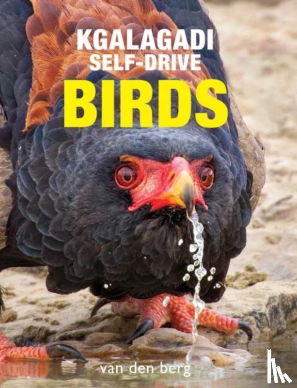van den Berg, Philip, van den Berg, Ingrid - Kgalagadi Self-Drive Birds