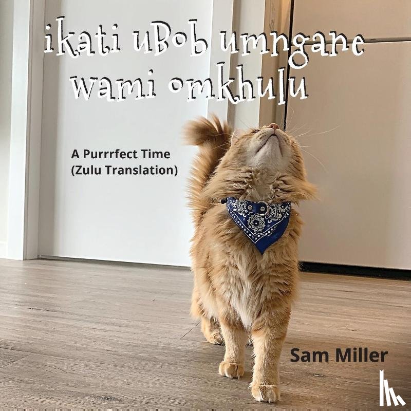 Miller, Sam - ikati uBob umngane wami omkhulu - A Purrrfect Time (Zulu Translation)