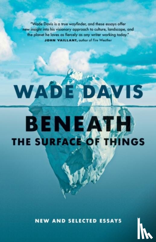 Davis, Wade - Beneath the Surface of Things