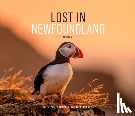 Winsor, Michael - Lost in Newfoundland: Volume 2