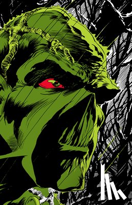 Wein, Len, Wrightson, Bernie - Absolute Swamp Thing by Len Wein and Bernie Wrightson