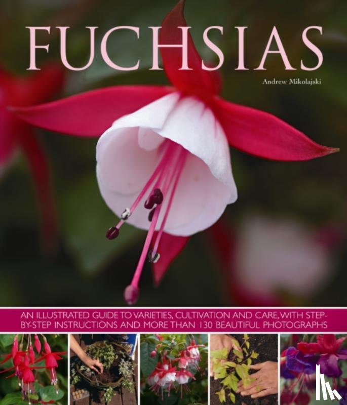 Mikolajski, Andrew - Fuchsias