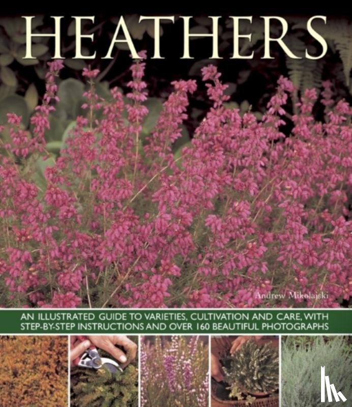 Mikolajski, Andrew - Heathers