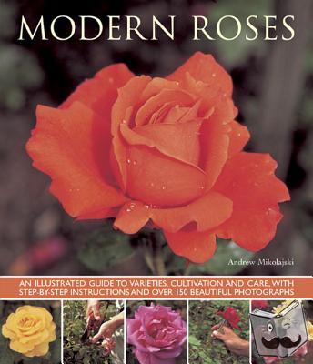 Mikolajski, Andrew - Modern Roses