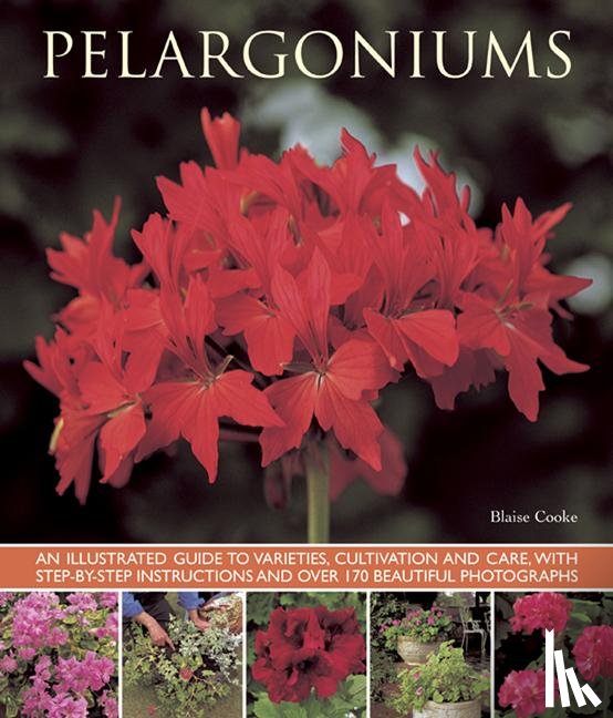 Cooke, Blaise - Pelargoniums