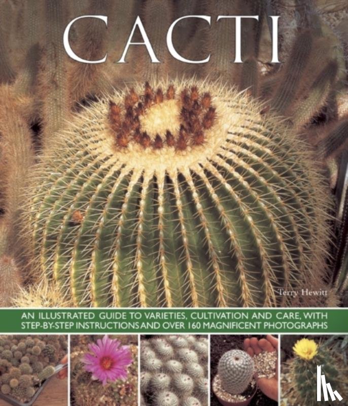 Hewitt, Terry - Cacti